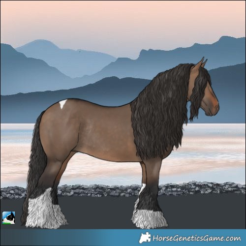 Horse Color:Brown Dun Tobiano Rabicano 
