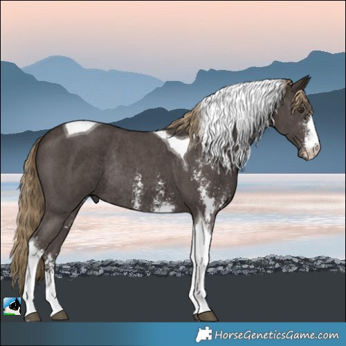 Horse Color:Liver Chestnut Sabino Tobiano Rabicano