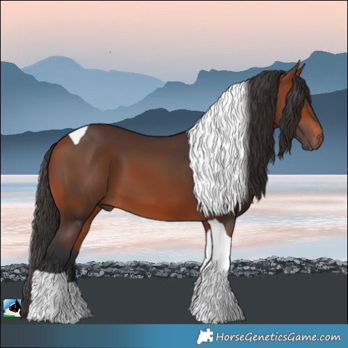 Horse Color:Bay Tobiano 
