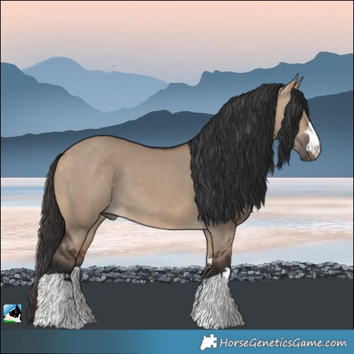 Horse Color:Bay Dun