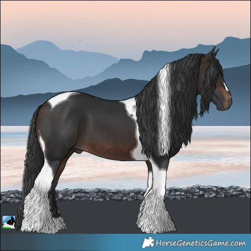 Horse Color:Brown Tobiano 