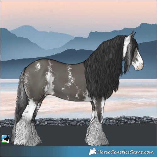 Horse Color:Grullo Sabino