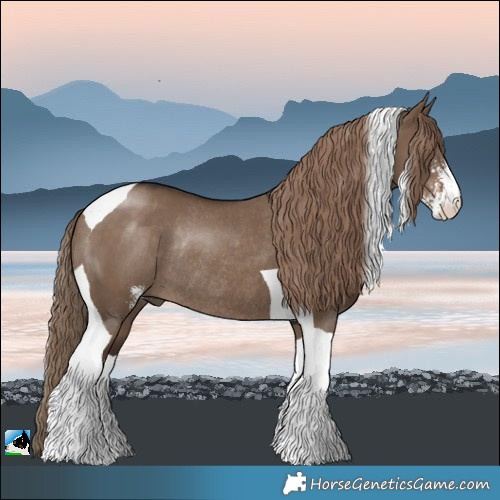 Horse Color:Liver Red Dun Sabino Tobiano Rabicano 