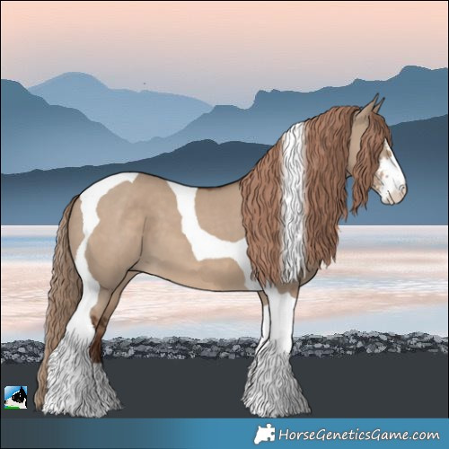 Horse Color:Liver Red Dun Sabino Tobiano