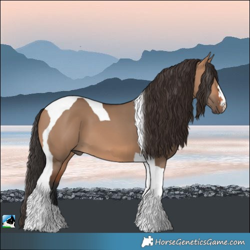 Horse Color:Bay Dun Tobiano 