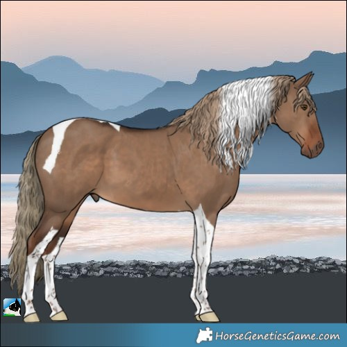 Horse Color:Liver Red Dun Tobiano