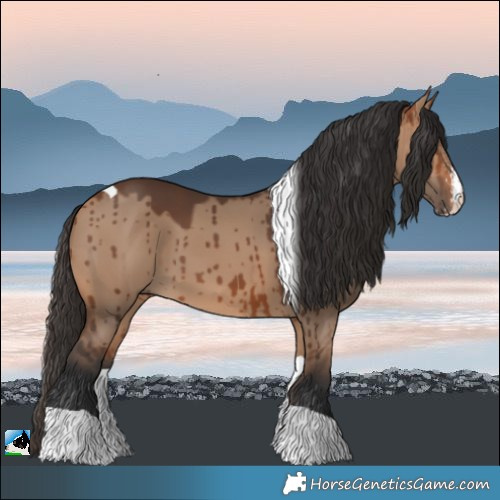 Horse Color:Bay Dun Sabino Tobiano Brindle