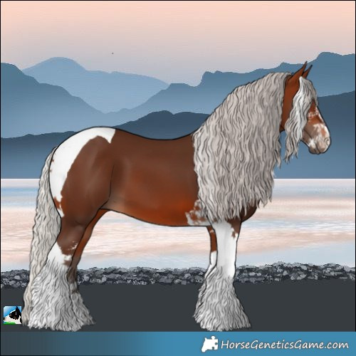 Horse Color:Silver Brown Sabino Tobiano 