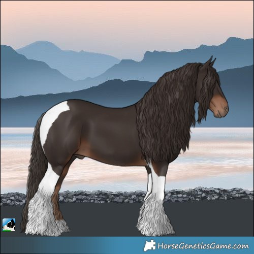 Horse Color:Liver Chestnut Tobiano 