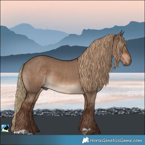 Horse Color:Liver Red Dun 