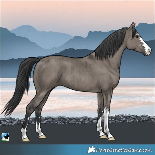Horse Color:Grullo Brindle 