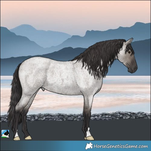 Horse Color:Smoky Grullo Roan Brindle 