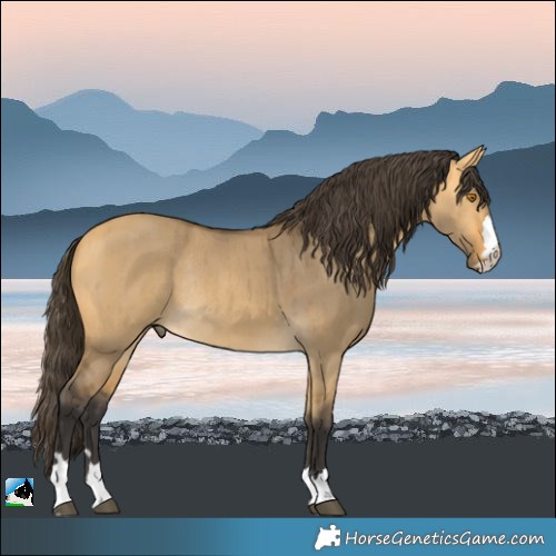 Horse Color:Buckskin Dun Rabicano Brindle 