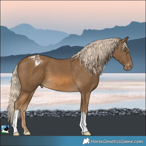 Horse Color:Chocolate Palomino Varnish
