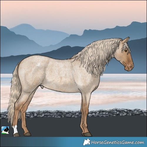 Horse Color:Chocolate Palomino Roan Dun Varnish