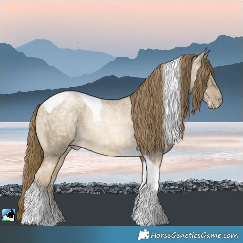 Horse Color:Buckskin Ice Roan Pearl Tobiano