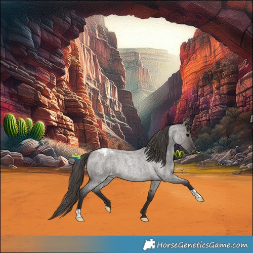 Horse Color:Smoky Grullo Roan Varnish Rabicano 