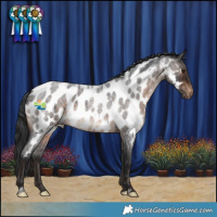 Horse Color:Brown Roan Near Leopard
