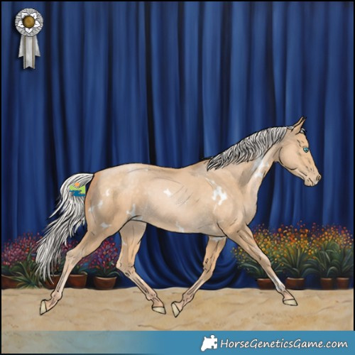 Horse Color:White Spotted Silver Buckskin Pearl Rabicano