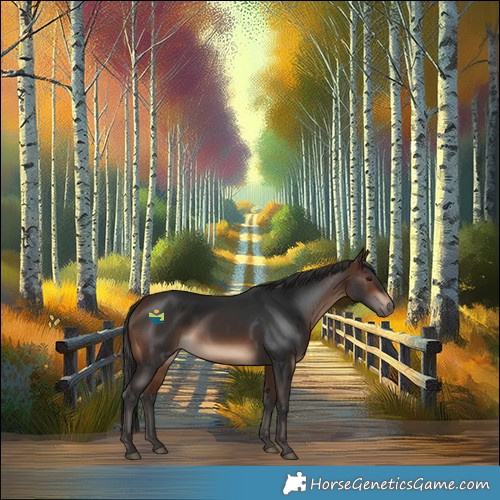 Horse Color:Brown Rabicano 