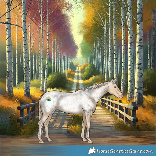 Horse Color:Palomino Roan Pearl Near Leopard 