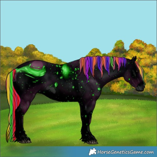 Horse Color:ERROR: UNKNOWN ANOMALY