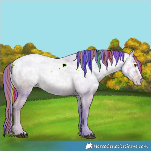 Horse Color:ERROR: UNKNOWN ANOMALY
