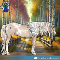 Horse Color:Chocolate Palomino Roan Pearl and White Spotted Chocolate Palomino Pearl