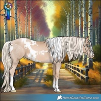 Horse Color:Chocolate Palomino Roan Pearl and White Spotted Chocolate Palomino Pearl