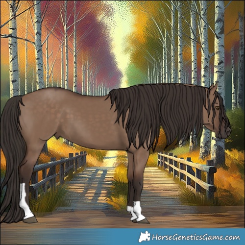 Horse Color:Liver Red Dun Tobiano 