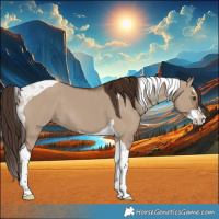 Horse Color:Liver Red Dun Splash Tobiano 