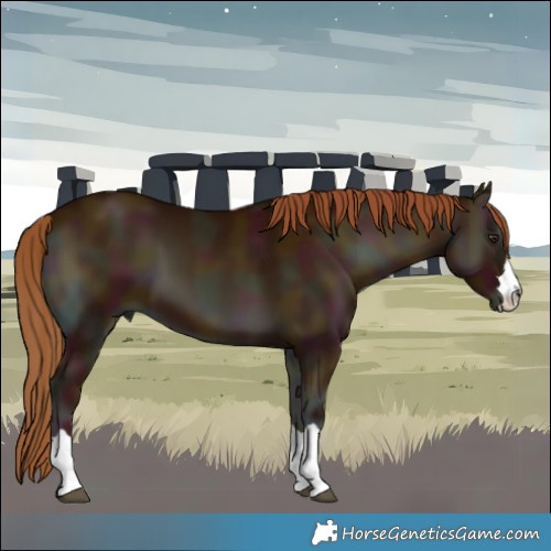 Horse Color:Midnight Red Onyx 