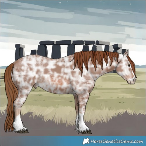 Horse Color:Chestnut Ice
