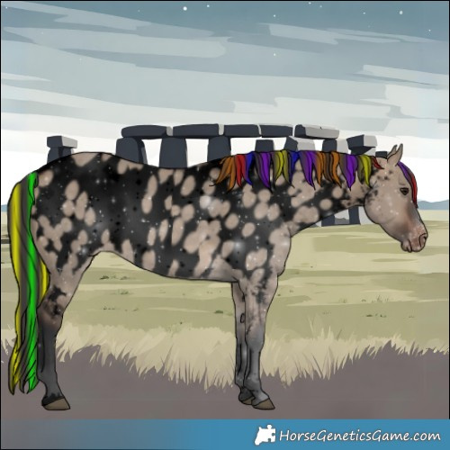 Horse Color:Void Painted Brown Dun Near Leopard