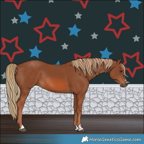 Horse Color:Chestnut Rabicano