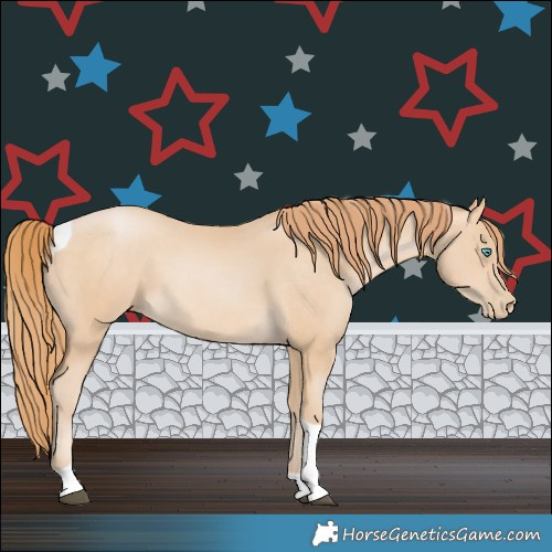 Horse Color:Buckskin Snowdrop Tobiano 
