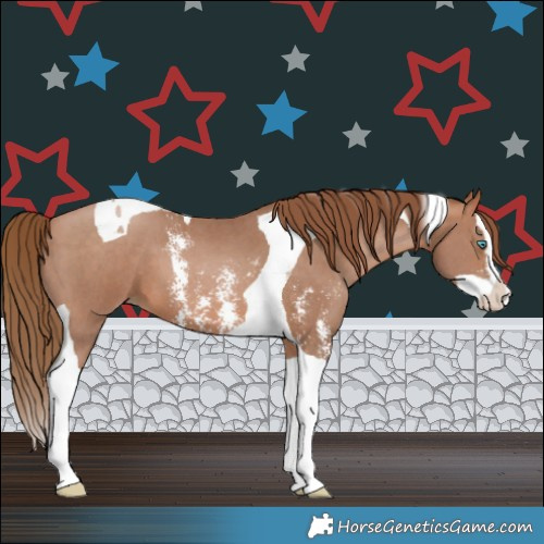 Horse Color:Brown Pearl Sabino Splash Tobiano 