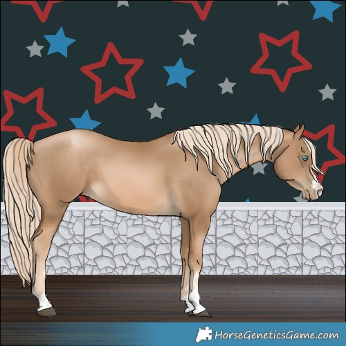Horse Color:Chocolate Palomino Pearl 