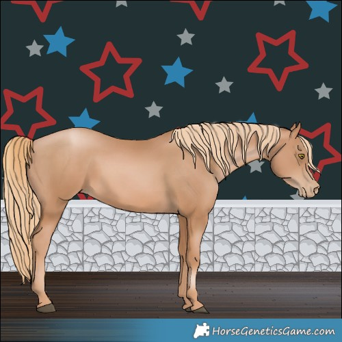 Horse Color:Chestnut Pearl