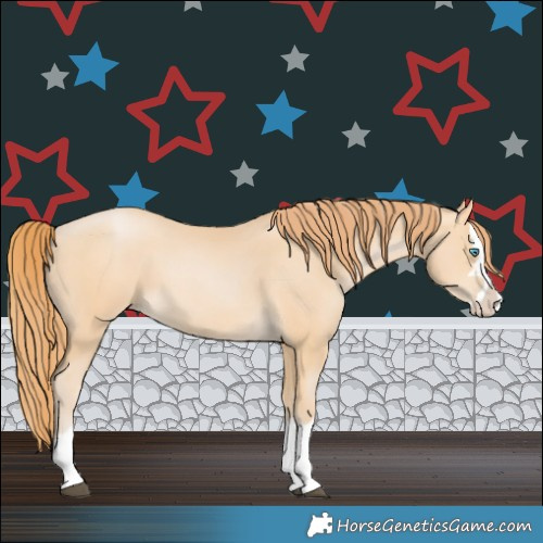 Horse Color:Buckskin Snowdrop Splash