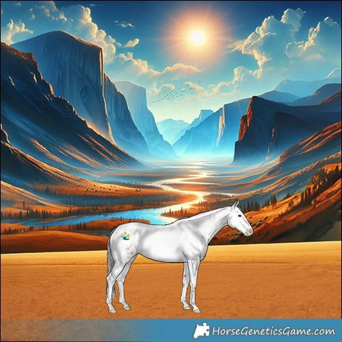 Horse Color:White Spotted Liver Red Onyx Mushroom Splash Near Leopard Rabicano