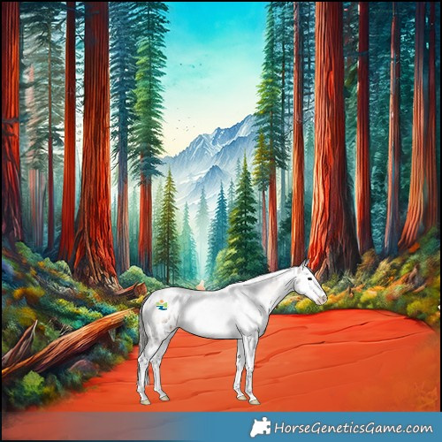 Horse Color:White Spotted Liver Red Onyx Mushroom Splash Appaloosa Rabicano