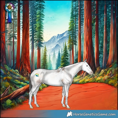 Horse Color:White Spotted Liver Red Onyx Splash Rabicano