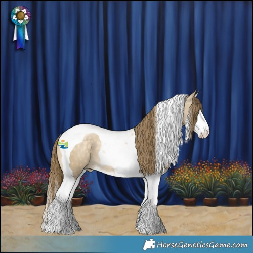 Horse Color:Buckskin Snowdrop Dun Splash Tobiano