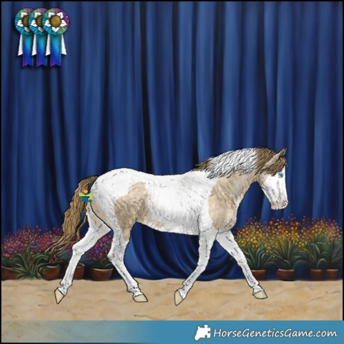 Horse Color:Buckskin Snowdrop Dun Splash Tobiano