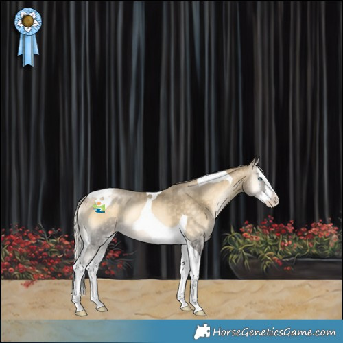 Horse Color:Silver Buckskin Snowdrop Onyx Splash Tobiano Varnish