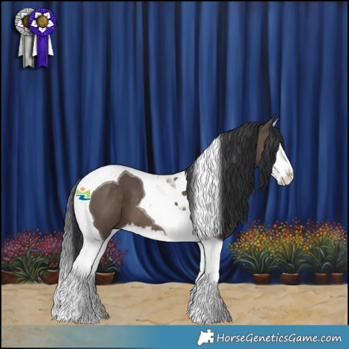 Horse Color:Brown Dun Splash Tobiano 
