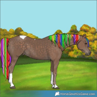 Horse Color:Painted Silver Black Tobiano 