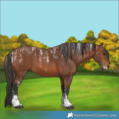 Horse Color:Powder White Bay 