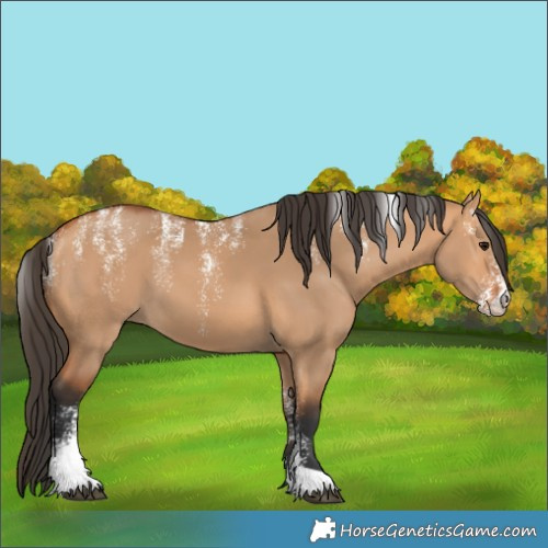 Horse Color:Powder White Bay Dun